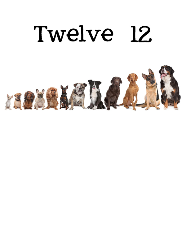 1-2-3 Count Dogs with Me Counting Dogs in Five Languages EnglishFrenchSpanishChineseGerman - photo 15