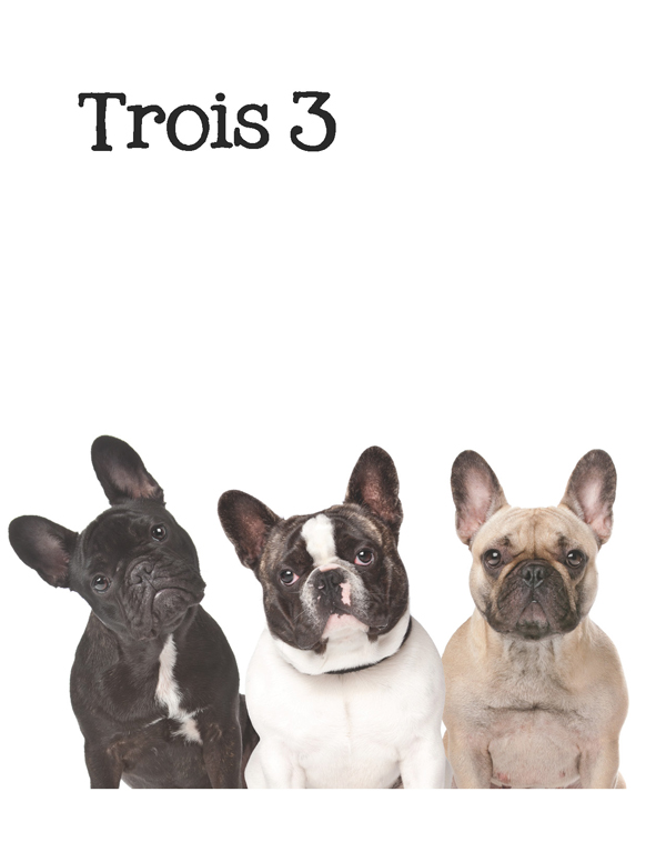 1-2-3 Count Dogs with Me Counting Dogs in Five Languages EnglishFrenchSpanishChineseGerman - photo 19