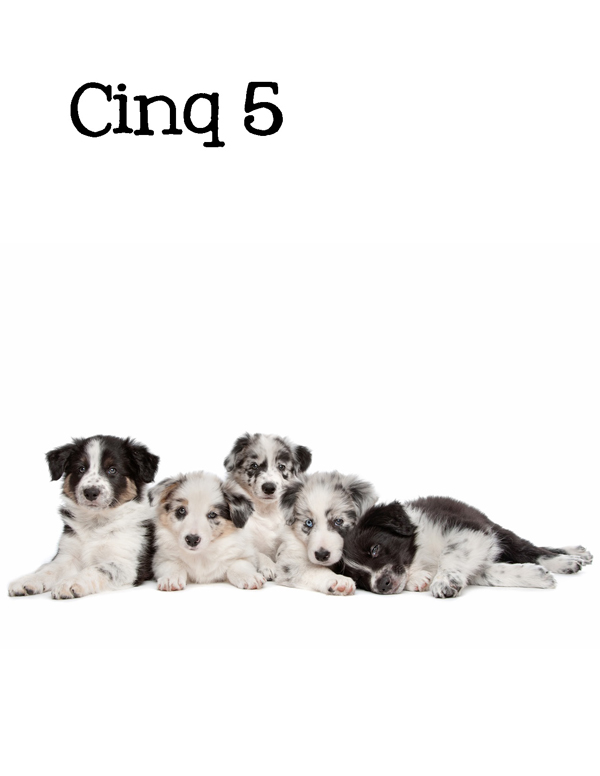 1-2-3 Count Dogs with Me Counting Dogs in Five Languages EnglishFrenchSpanishChineseGerman - photo 21