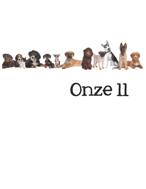 1-2-3 Count Dogs with Me Counting Dogs in Five Languages EnglishFrenchSpanishChineseGerman - photo 27