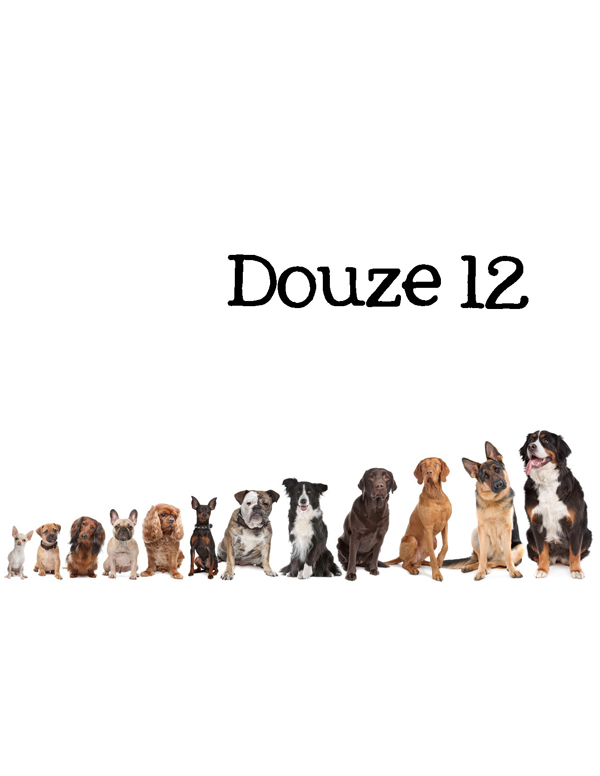1-2-3 Count Dogs with Me Counting Dogs in Five Languages EnglishFrenchSpanishChineseGerman - photo 28