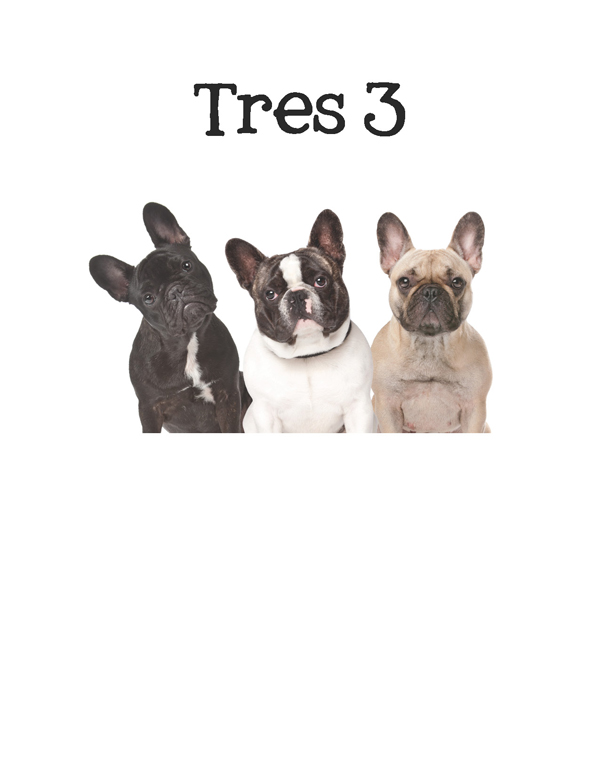 1-2-3 Count Dogs with Me Counting Dogs in Five Languages EnglishFrenchSpanishChineseGerman - photo 32