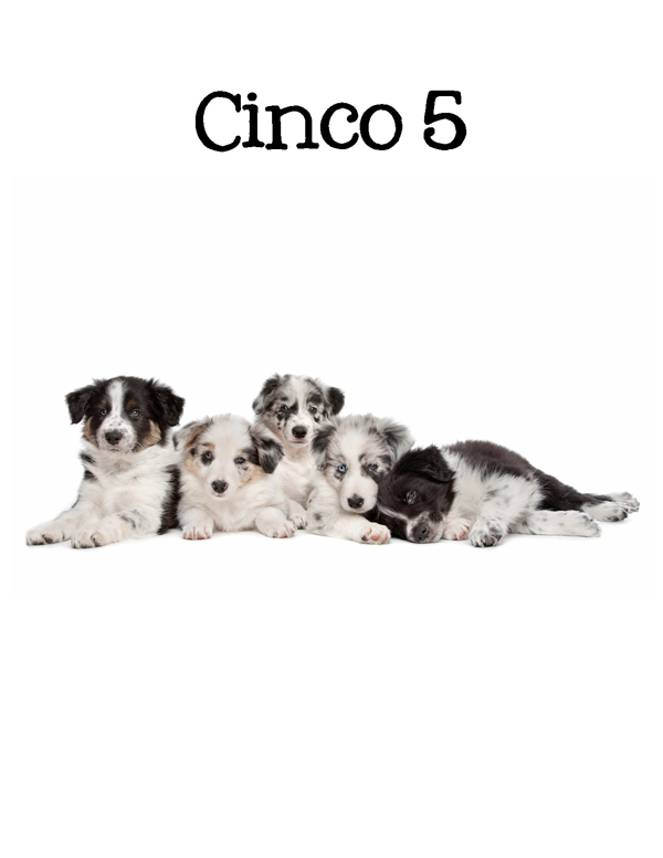 1-2-3 Count Dogs with Me Counting Dogs in Five Languages EnglishFrenchSpanishChineseGerman - photo 34