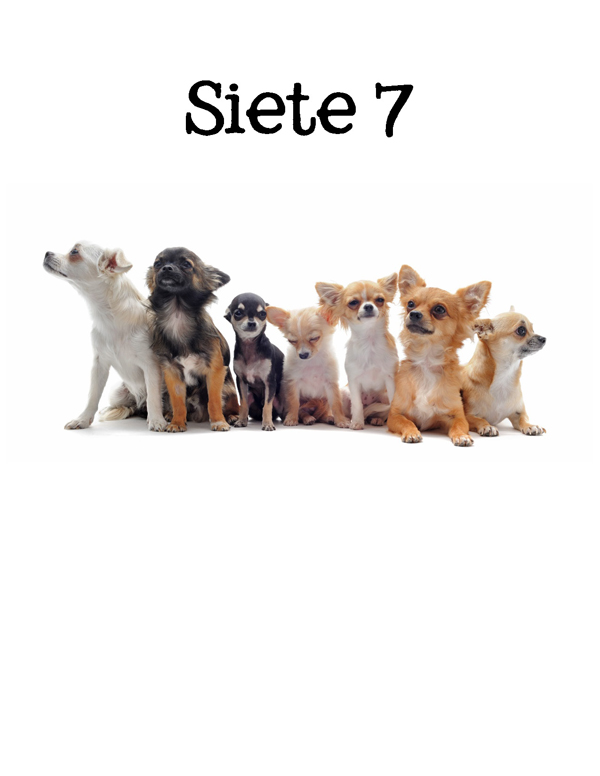 1-2-3 Count Dogs with Me Counting Dogs in Five Languages EnglishFrenchSpanishChineseGerman - photo 36