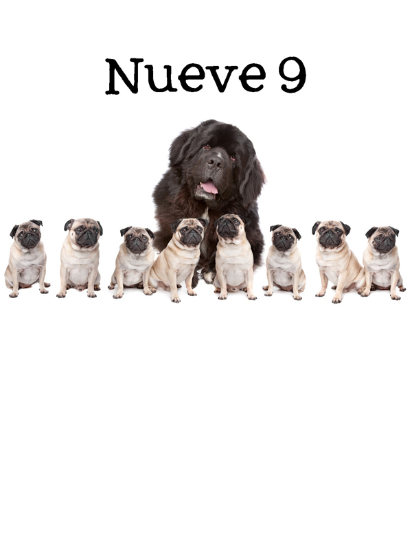 1-2-3 Count Dogs with Me Counting Dogs in Five Languages EnglishFrenchSpanishChineseGerman - photo 38