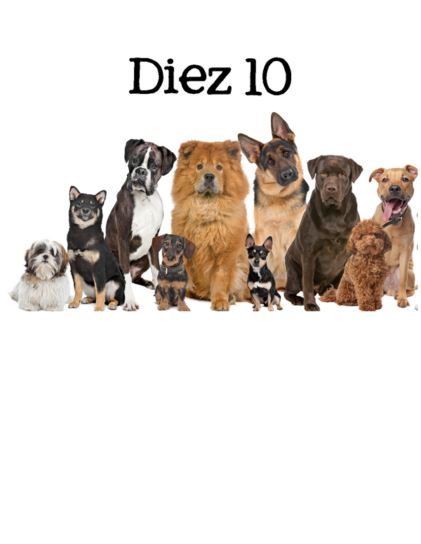 1-2-3 Count Dogs with Me Counting Dogs in Five Languages EnglishFrenchSpanishChineseGerman - photo 39