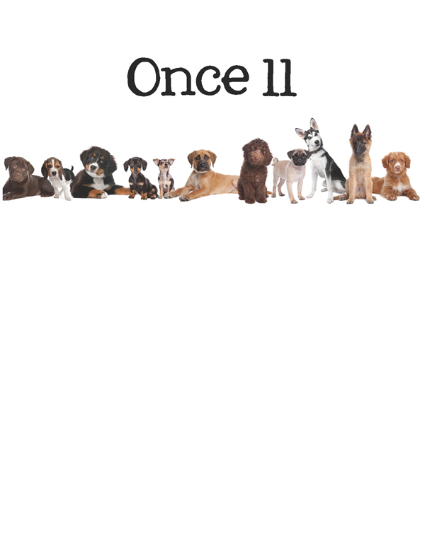 1-2-3 Count Dogs with Me Counting Dogs in Five Languages EnglishFrenchSpanishChineseGerman - photo 40