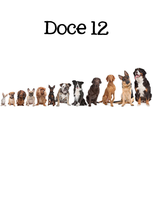 1-2-3 Count Dogs with Me Counting Dogs in Five Languages EnglishFrenchSpanishChineseGerman - photo 41