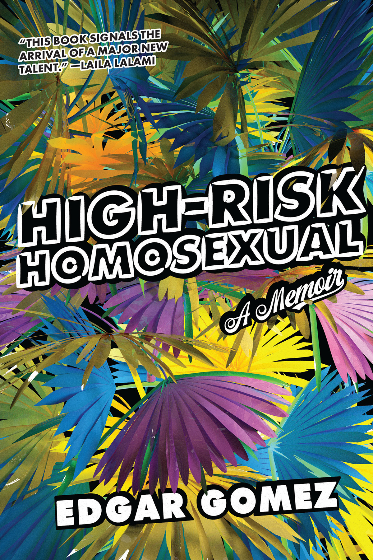 Praise for High-Risk Homosexual High-Risk Homosexual is a keen and tender - photo 1