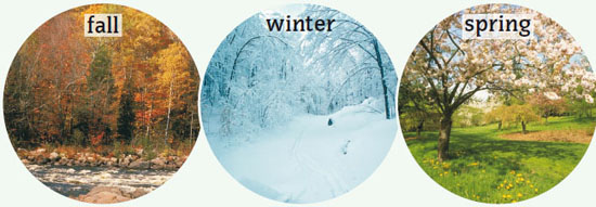 Image Credit Photoscom a division of Getty Images Each season lasts about - photo 2