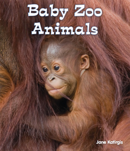 Jane Katirgis - Baby Zoo Animals