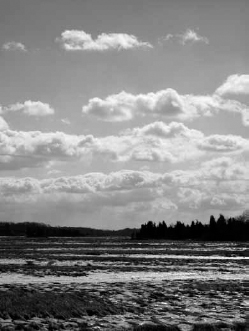 February skies over a frozen Ipswich salt marsh Rachel Rowe A commuter - photo 4