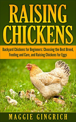 Maggie Gingrich Raising Chickens: Backyard Chickens for Beginners: Choosing the Best Breed, Feeding and Care, and Raising Chickens for Eggs