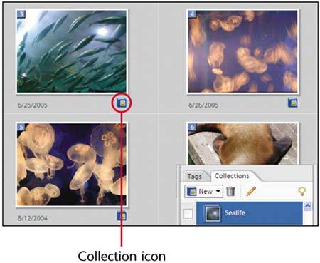 Edit the Collection icon By default each Collection icon will be the first - photo 7