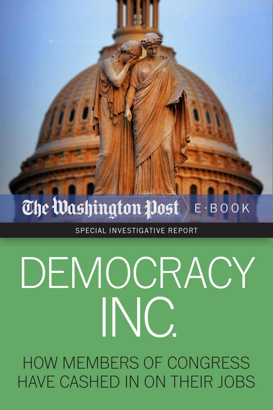 Democracy Inc By David S Fallis Scott Higham Dan Keating and Kimberly - photo 1