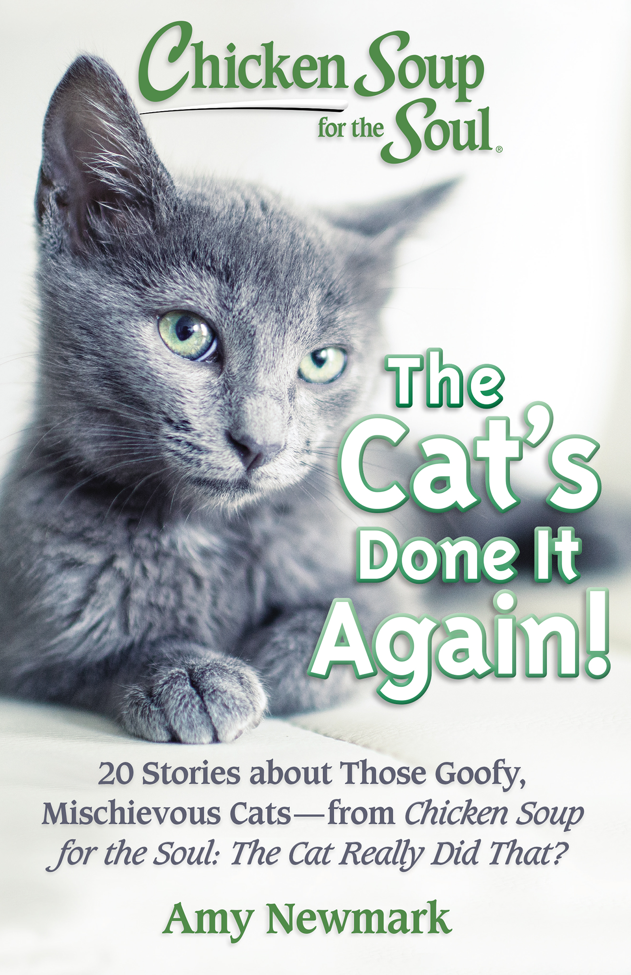 Chicken Soup for the Soul The Cats Done It Again 20 Stories about Those - photo 1