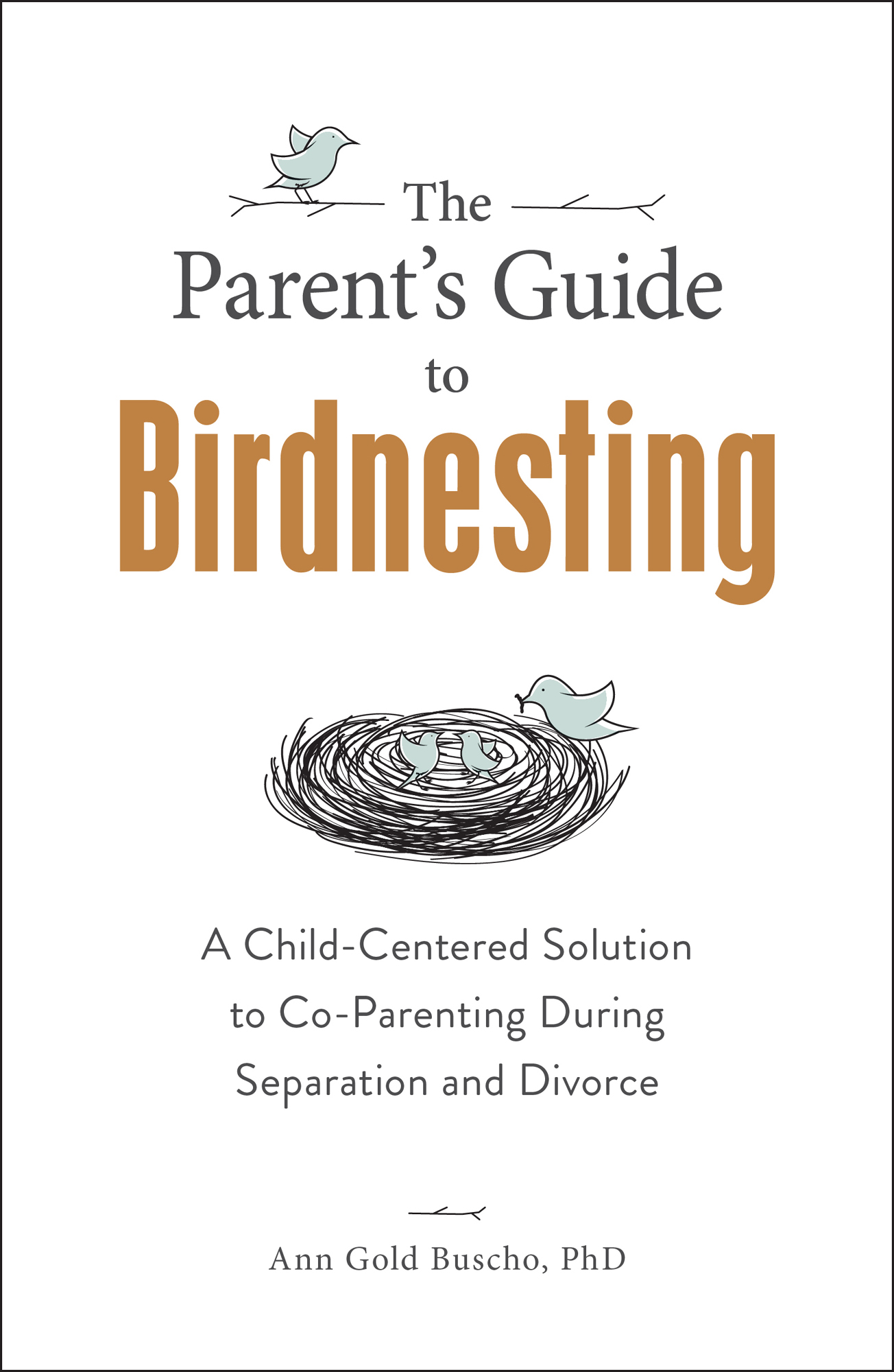The Parents Guide to Birdnesting A Child-Centered Solution to Co-Parenting During Separation and Divorce - image 1