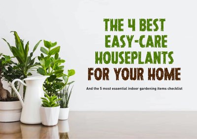 This checklist includes The 4 best and easiest to look after houseplants to - photo 1