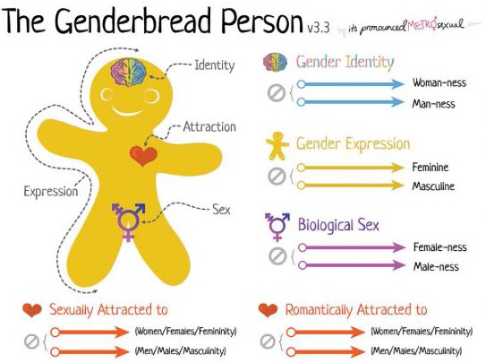 This visual representation of sexual and gendered identities represents the - photo 3