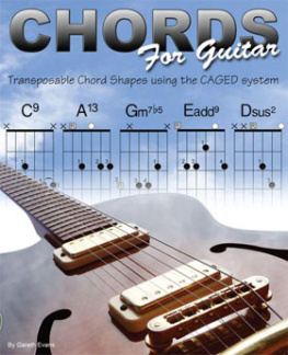 Gareth Evans - Guitar Practice Guide: A Practice Guide for Guitarists and other Musicians