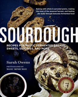 Sarah Owens - Sourdough - Recipes for Rustic Fermented Breads, Sweets, Savories, and More