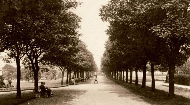 The park was popular during the First World War not only for those relaxing in - photo 7