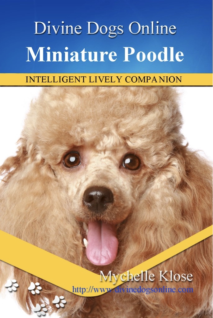 Divine Dogs Online Miniature Poodles Mychelle Klose All Rights Reserved - photo 1