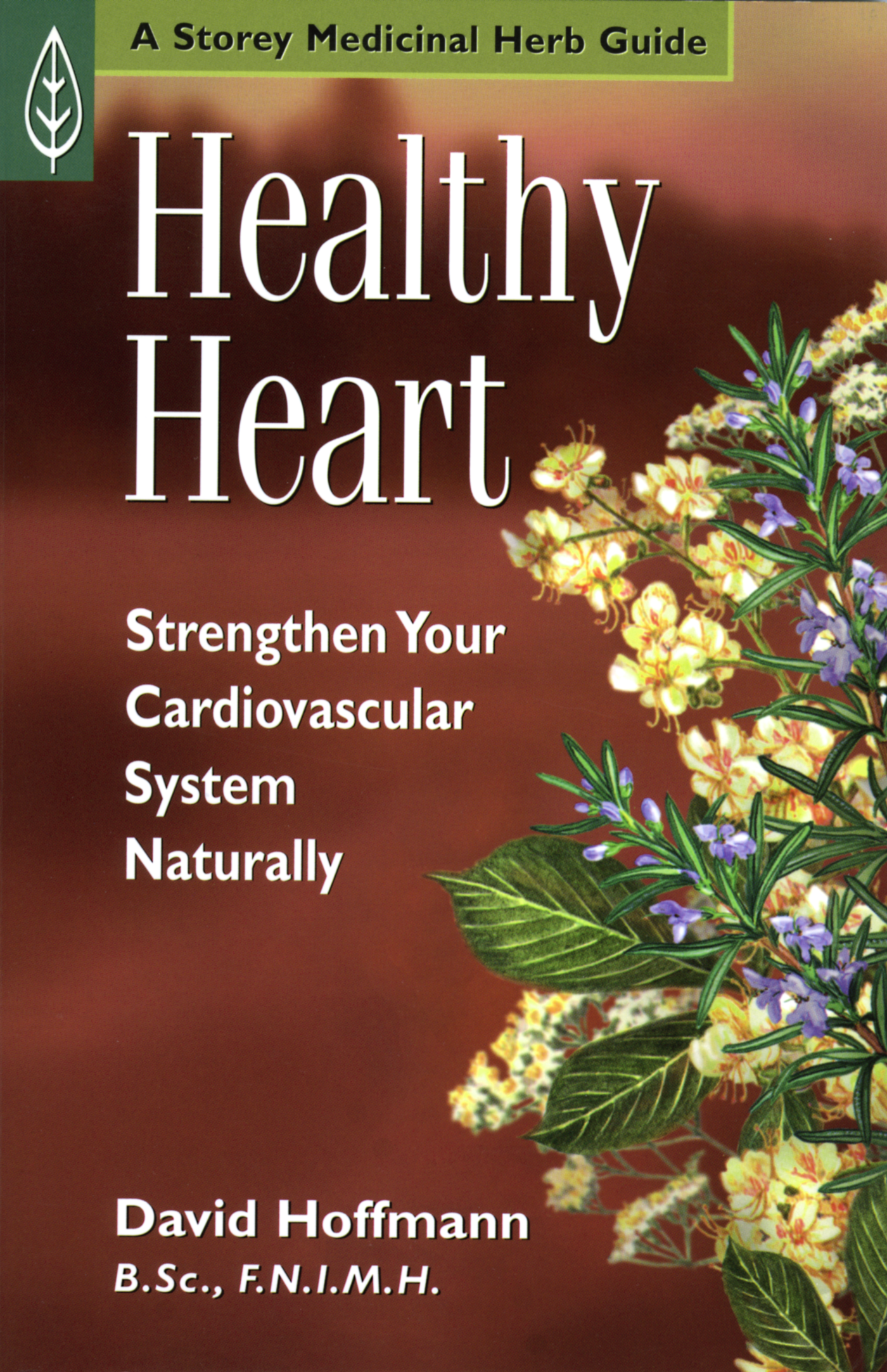 Contents Introduction Why Use Herbal Remedies for Heart Health When touched by - photo 1