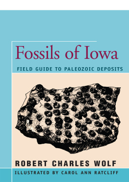 Robert Wolf Fossils of Iowa: Field Guide to Paleozoic Deposits