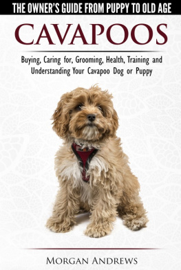 Morgan Andrews - Cavapoos: The Owners Guide From Puppy To Old Age--Buying, Caring for, Grooming, Health, Training and Understanding Your Cavapoo Dog or Puppy