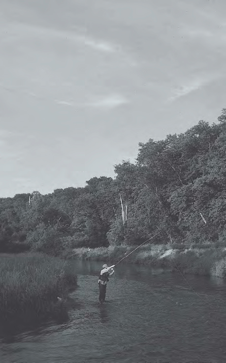 Beth Christensen on the Lower Kinnickinnic Trout Streams of Wisconsin - photo 2