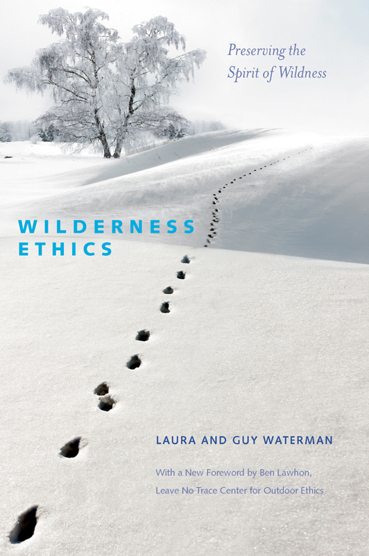 WILDERNESS ETHICS Preserving the Spirit of Wildness New Foreword by Ben - photo 1