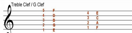 6 Music Notes in the Bass Clef T he Bass Clef also has 5 lines and 5 spaces - photo 8