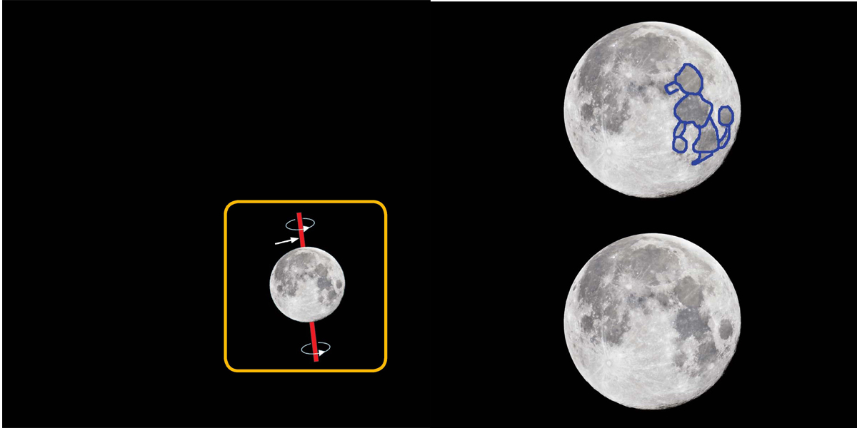 axis The axis is an invisible line that cant be seen When viewing the full - photo 5