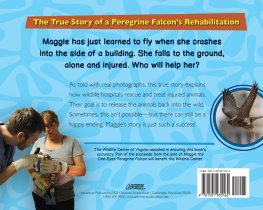 Christie Gove-Berg - Maggie the One-Eyed Peregrine Falcon: A True Story of Rescue and Rehabilitation