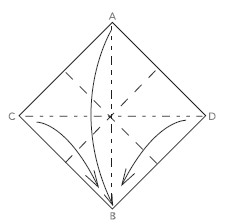 Mountain-fold the C and D corners bringing A C and D down to B Your - photo 25