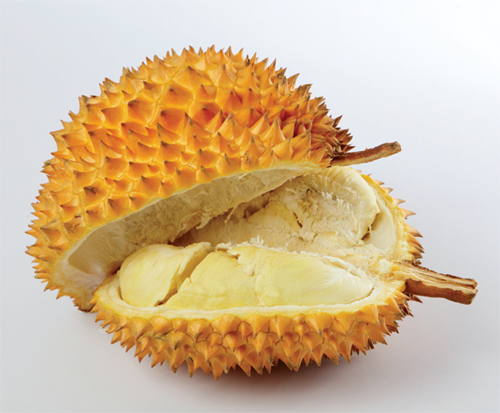 Image Credit Shutterstockcom Durian is a fruit Its weird but its true - photo 8