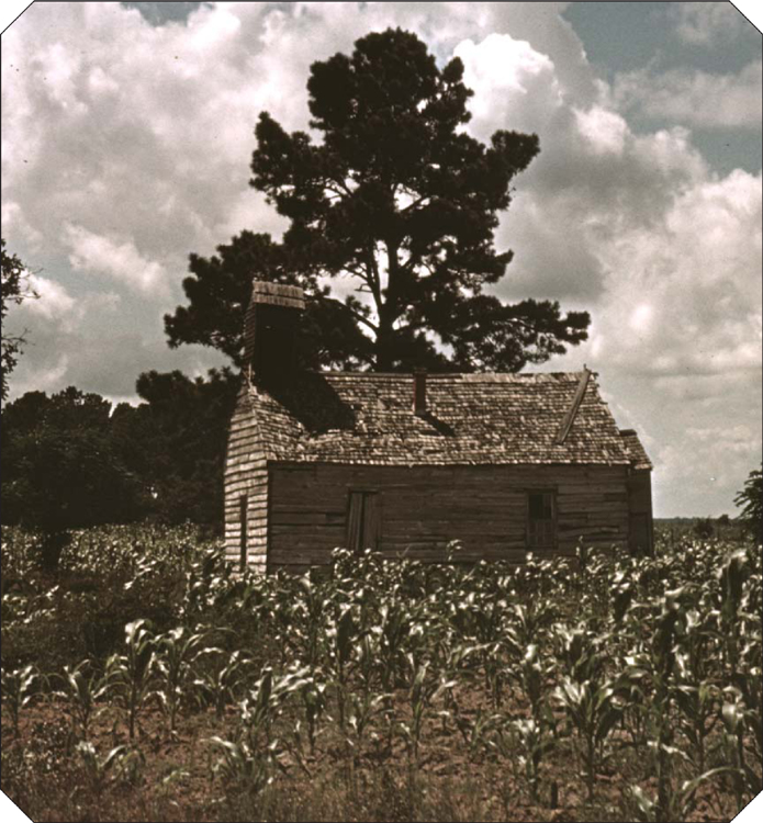 A modest African-American church stands in the middle of a South Carolina - photo 7