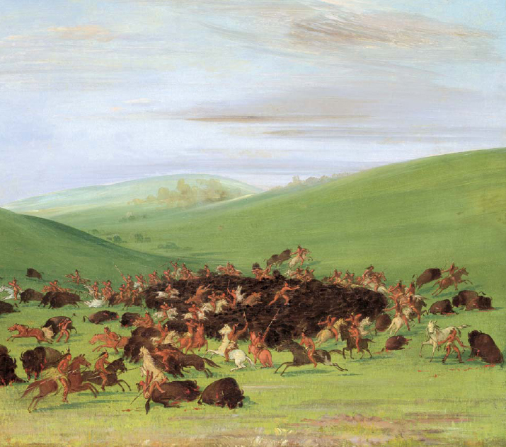 In this canvas from 183233 American artist George Catlin captured the teamwork - photo 5