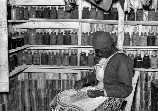 This photograph from 1939 shows a woman sorting peas in her storeroom with the - photo 3