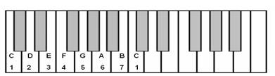 E ach tone of the scale is represented by an Arabic number Numbers 1 to 7 - photo 4