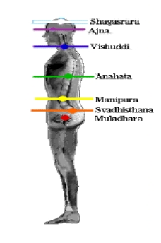 T he seven main Chakras include The Base Chakra Muladhara The Sacral Chakra - - photo 1