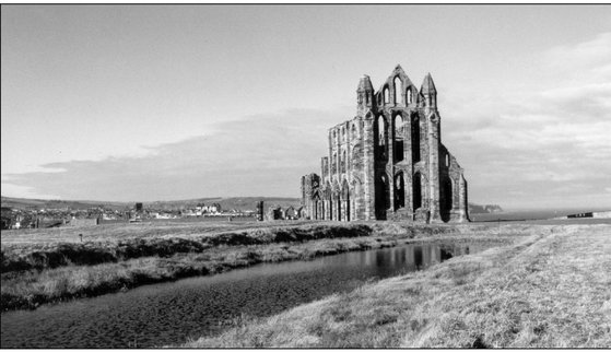 Whitby Abbey a spectacular location on Yorkshires east coast Those tracing - photo 5