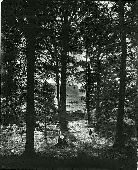 The Sacred Grove in upstate New York where in 1820 Joseph Smith experienced - photo 3