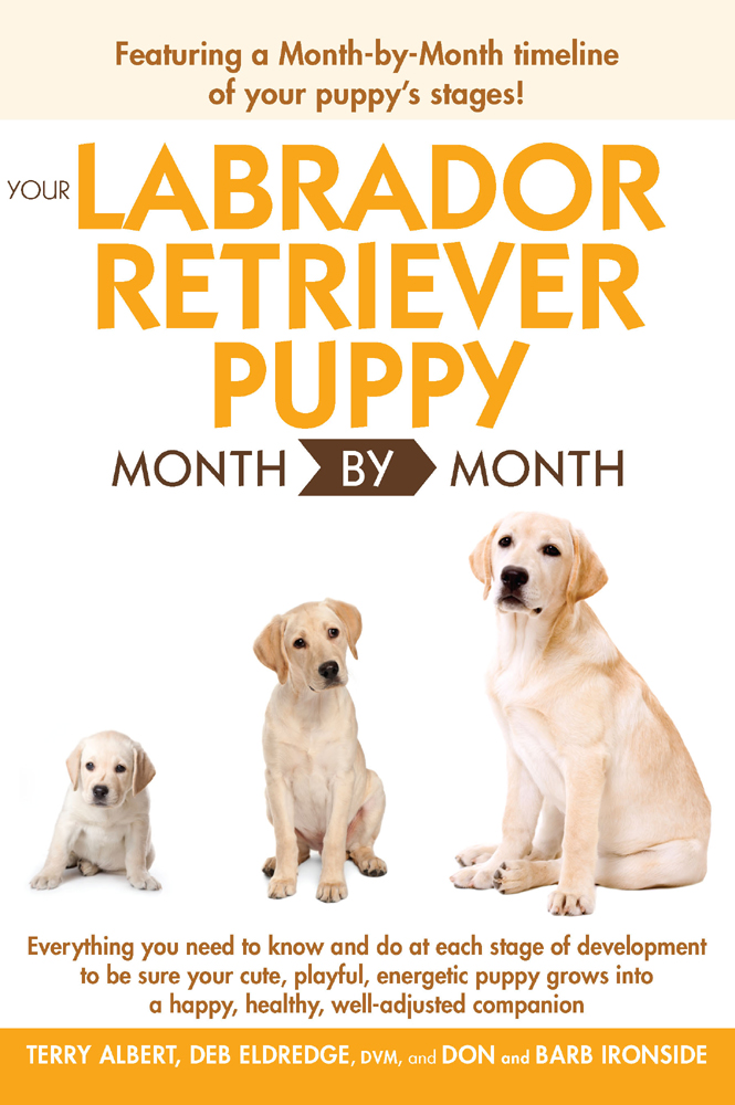 YOUR LABRADOR RETRIEVER PUPPY MONTH BY MONTH TERRY ALBERT DEB ELDREDGE - photo 1