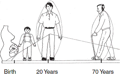 The water intake and thirst sensations at different ages Both reach peak at - photo 2