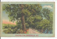 Figure 13 Vintage PostcardMorehead Kentucky Her father was Charles Charley - photo 13