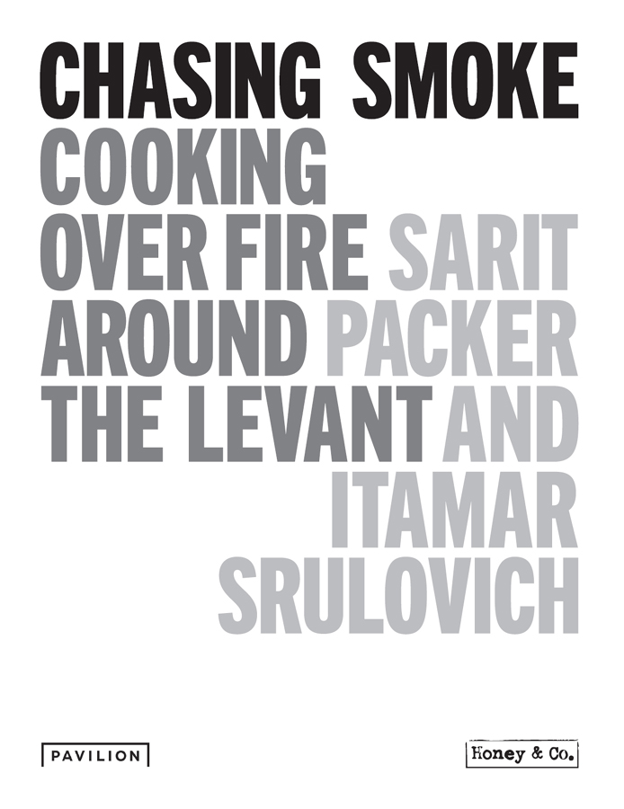 Chasing Smoke - photo 4