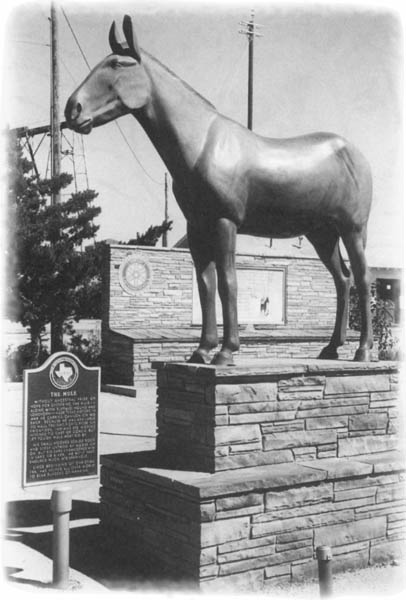 The National Mule Memorial in downtown Muleshoe Courtesy of Ray Miller The - photo 2