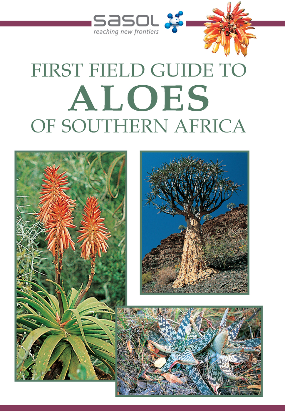 FIRST FIELD GUIDE TO ALOES OF SOUTHERN AFRICA GIDEON SMITH Contents - photo 1